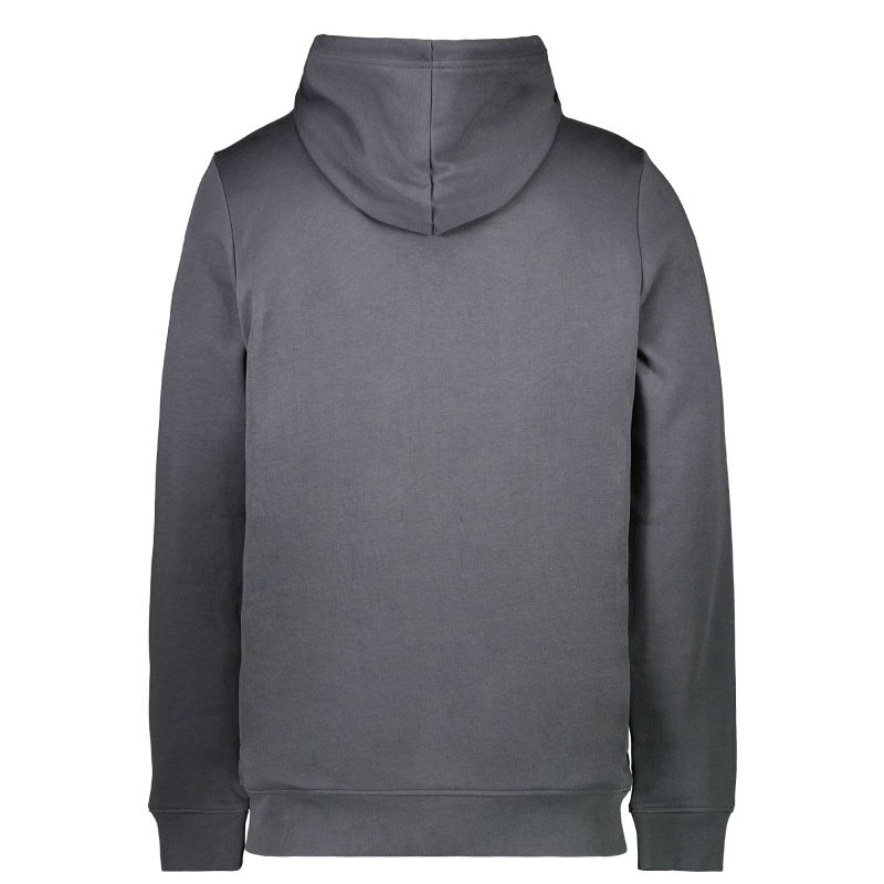 carsjeans hoodie achterkant grijs